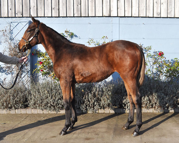 lot 797